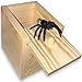 Jishi Large Spider Prank Box Gag Gift Funny Wooden Surprise Gift Box for Money Cash Card Spider Stocking Stuffers Prank Toys for Kids 4812 Boys Christmas White Elephant Gifts for Adults Men Women - Image 3