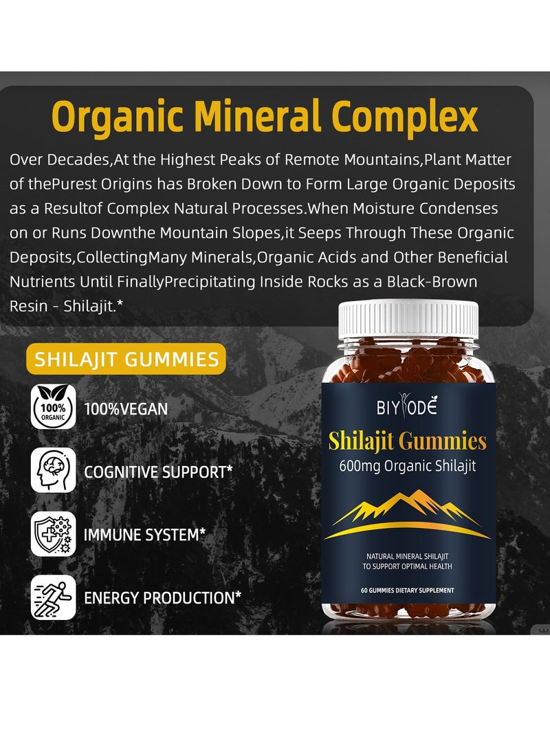 BIYODE Himalayan Shilajit Gummies(Shilajeet) for Men and Women - 600 mg Equivalent - Natural Energy & Stamina Booster - 60 Veg Gummies| Made in USA - Fulvic Mineral Supplement - Image 2