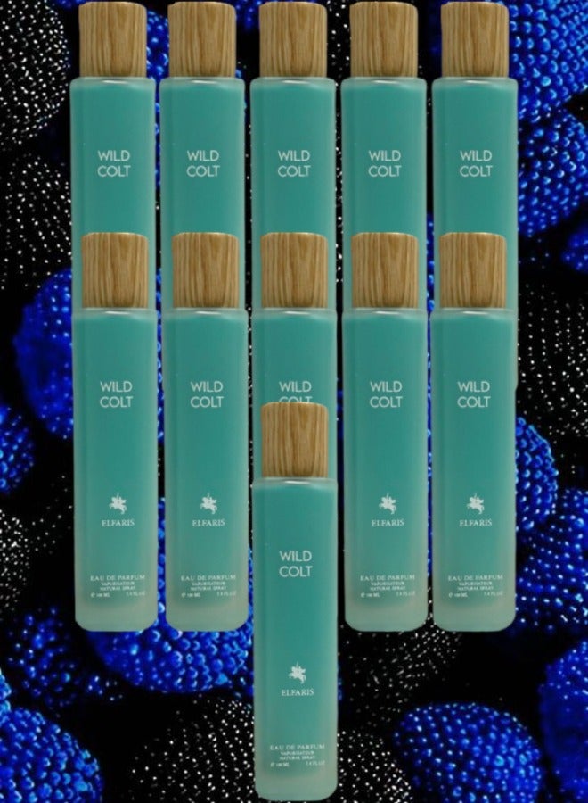 WILD 11 Pieces Wild Colt ElFaris EDP 100ML - Image 1