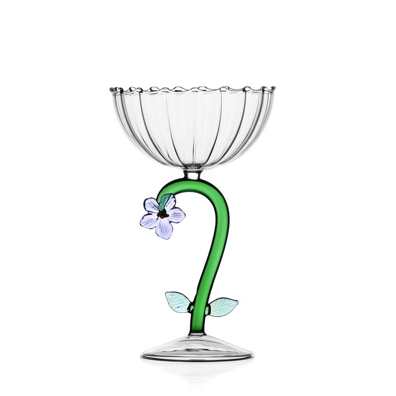 Ichendorf  Champagne Cup Flower Lilac   11 cm