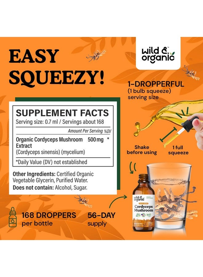 Wild & Organic Cordyceps Tincture - Cordyceps Sinensis Mushroom Extract for Immune & Energy Support - Liquid Mushroom Supplement - Vegan, Sugar & Alcohol-Free Drops - 4 fl oz - Image 3