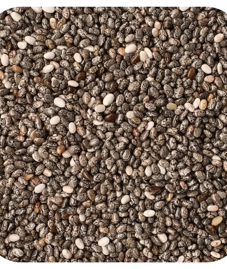 Organic Whole Chia Seed 16 oz (453 g)