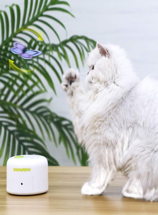 أوول فور بوز عبوات بديلة من ALL FOR PAWS على شكل فراشة تفاعلية للقطط، مناسبة لألعاب دوارة لإثراء حياة القطط، عبوة إعادة تعبئة - 6 قطع - Image 4