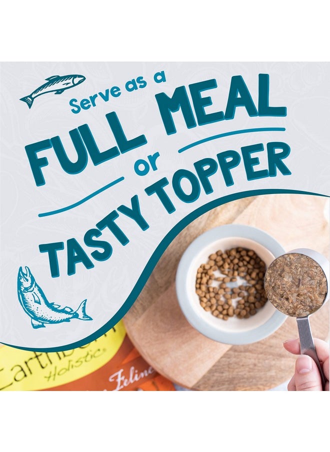 Earthborn Holistic - Monterey Medley GrainFree Moist Cat Food, Beige, 5.5 Oz(Pack Of 24) - Image 1