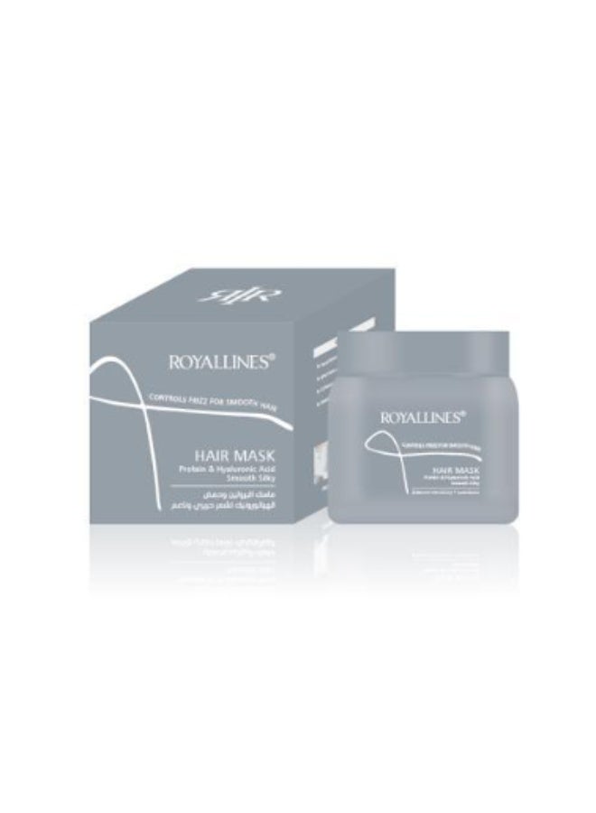 Protein & Hyaluronic Acid Smooth And Silky Hair Mask 500 ml