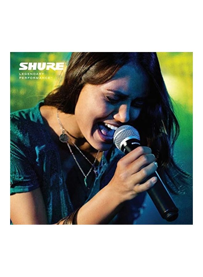 Shure BLX24/PG58 Wireless Microphone System with BLX4 Receiver and BLX2 Handheld Transmitter with PG58 Mic Capsule for Lead and Backup Vocal Applications - Image 2