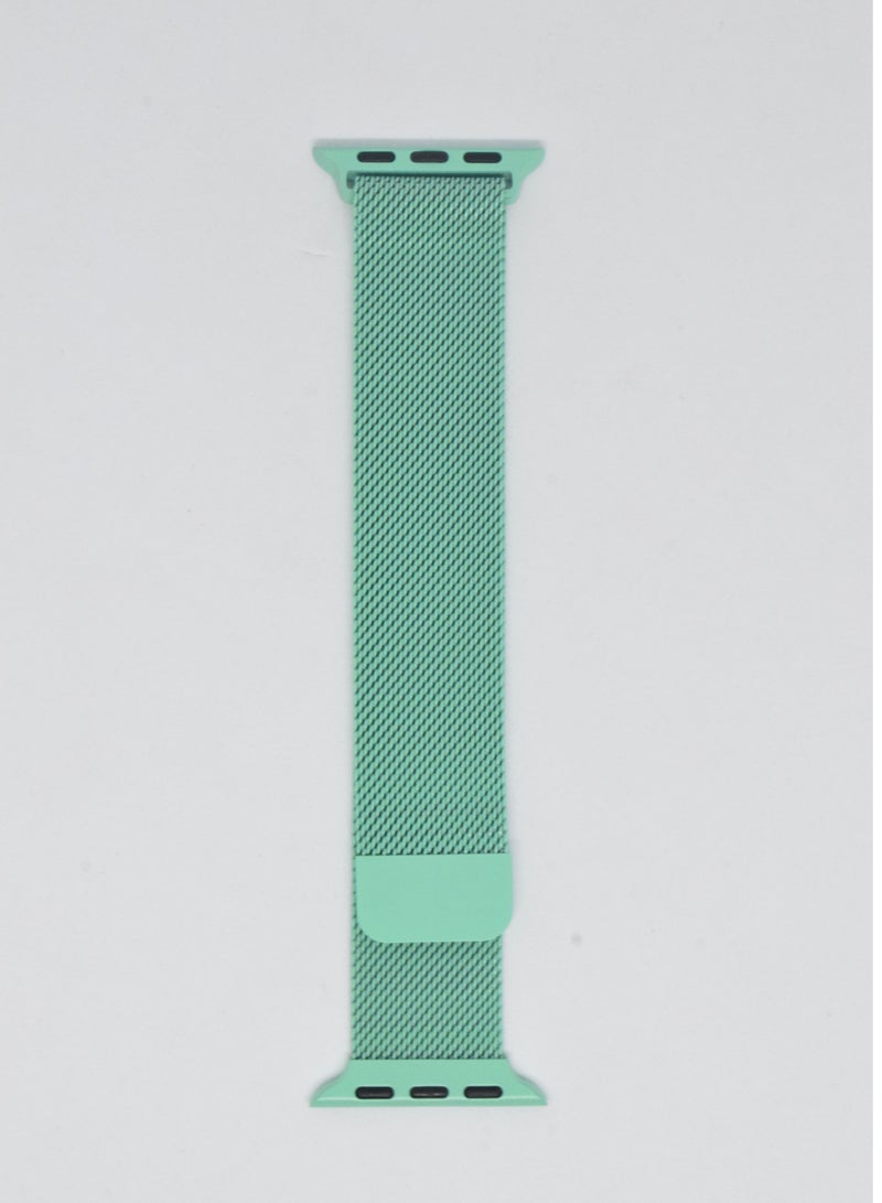 BORTONY Replacement Watch Band For Apple Series 7/6/5 Size 38/40mm - Image 1