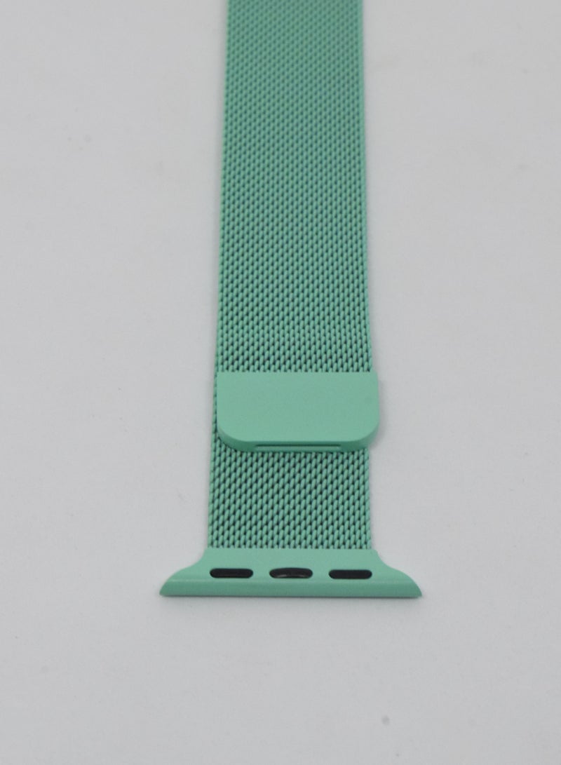 BORTONY Replacement Watch Band For Apple Series 7/6/5 Size 38/40mm - Image 2
