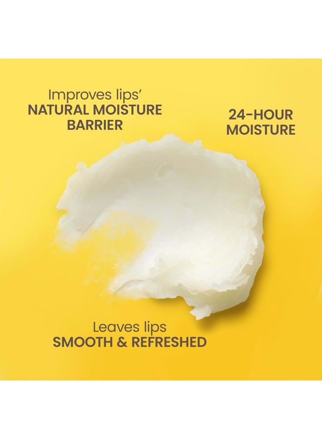 Burt's Bees Gift Set for Lip & Body, Vanilla Bean Lip Balm & Mini Milk & Honey Body Lotion, Hive Favorite Limited Edition - Image 2
