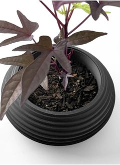 3D Brothers Frons Planter with Stand and Drainage Tray  Distinctive and Functional Enhancement for Plant Decor  - Image 4