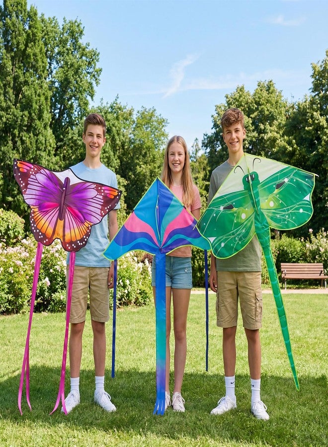 Crogift 3 Pack Large Kites - Butterfly Delta Dragonfly Kites Easy to Fly for Adults Kids Beach Park Outdoor Game Activities, Gifts for Easter and Festival - Image 2