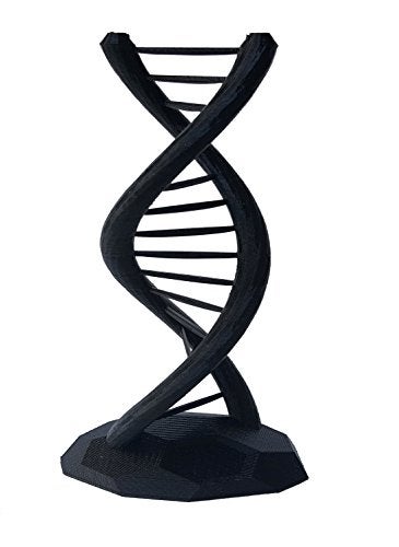 3D Central DNA Double Helix Science Gift 3D Printed - Image 5