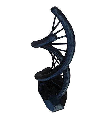 3D Central DNA Double Helix Science Gift 3D Printed - Image 2