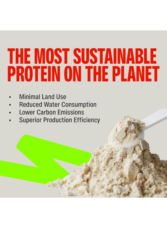 SuperYou PROs- Cold Coffee Flavour Fermented Yeast Protein Powder Sachet 36g (1 Sachet) - Image 3