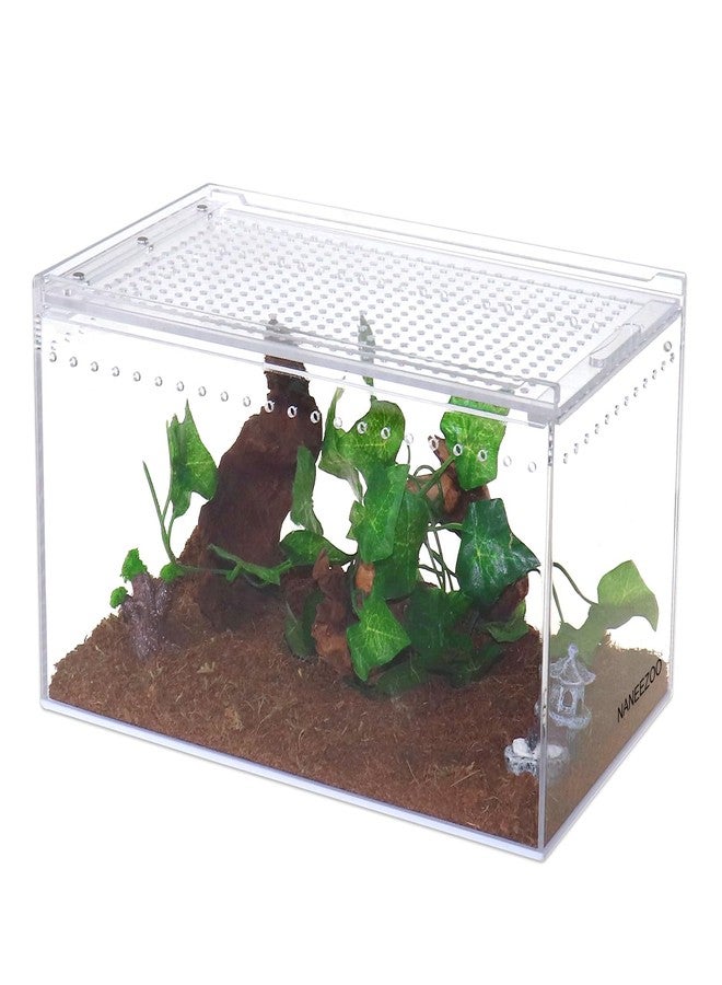 NANEEZOO Magnetic Acrylic Enclosure 10x6x6 Inch Tall Long Case Reptile Habitat Terrarium cage for Terrestrial Arboreal Tarantula Scorpion Sling Isopods Lizards Invertebrates Insect Mantis - Image 1