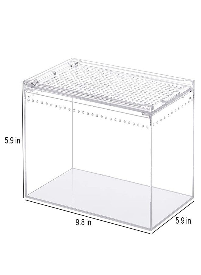 NANEEZOO Magnetic Acrylic Enclosure 10x6x6 Inch Tall Long Case Reptile Habitat Terrarium cage for Terrestrial Arboreal Tarantula Scorpion Sling Isopods Lizards Invertebrates Insect Mantis - Image 5
