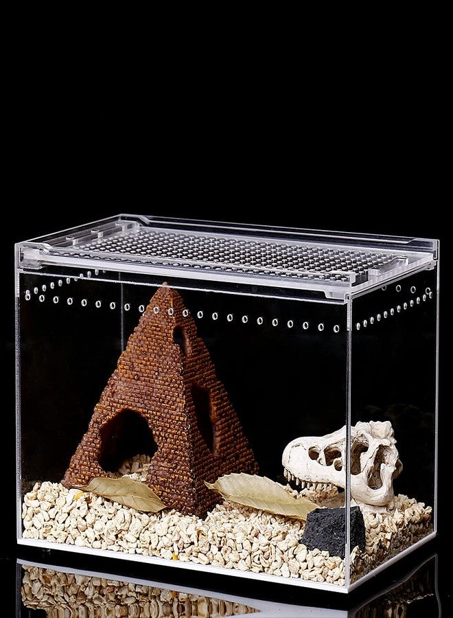 NANEEZOO Magnetic Acrylic Enclosure 10x6x6 Inch Tall Long Case Reptile Habitat Terrarium cage for Terrestrial Arboreal Tarantula Scorpion Sling Isopods Lizards Invertebrates Insect Mantis - Image 2