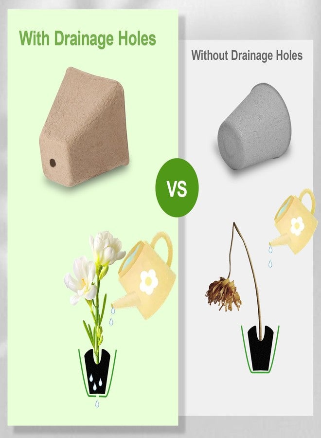KOAMLY 150 Pack 2.3 Inch Square Peat Nursery Pots, Biodegradable Herb Seed Nursery Pot Kits, Seedling Pots, Outdoor Garden Sprouting Peat Pots with 150 Plant Tags - Image 3
