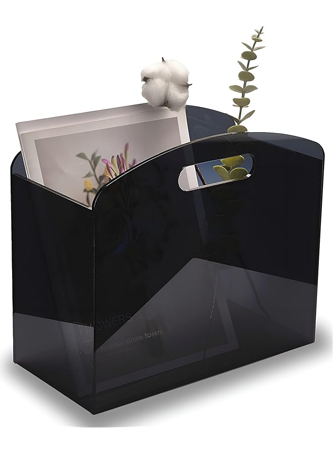 The Bros Acrylic Magazine Holder, Newspaper Holder with Handles, Modern Translucent Lucite and Book Basket Box for Bathroom, Bedroom, Living Room  - Image 1