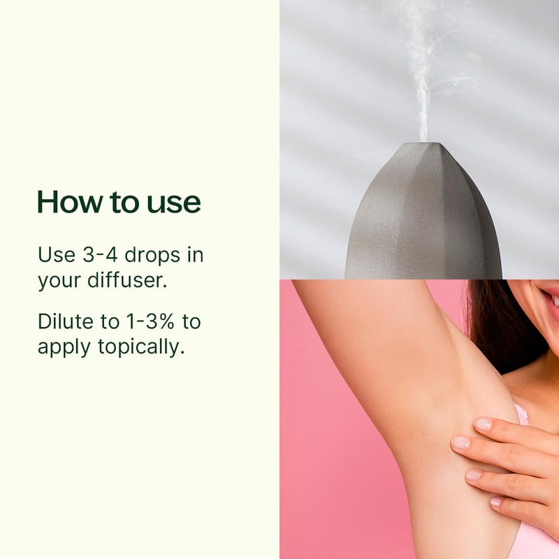 Plant Therapy Deodorizing Essential Oil Blend 100 mL (3.3 oz) 100% Pure, Undiluted, Therapeutic Grade - Image 2