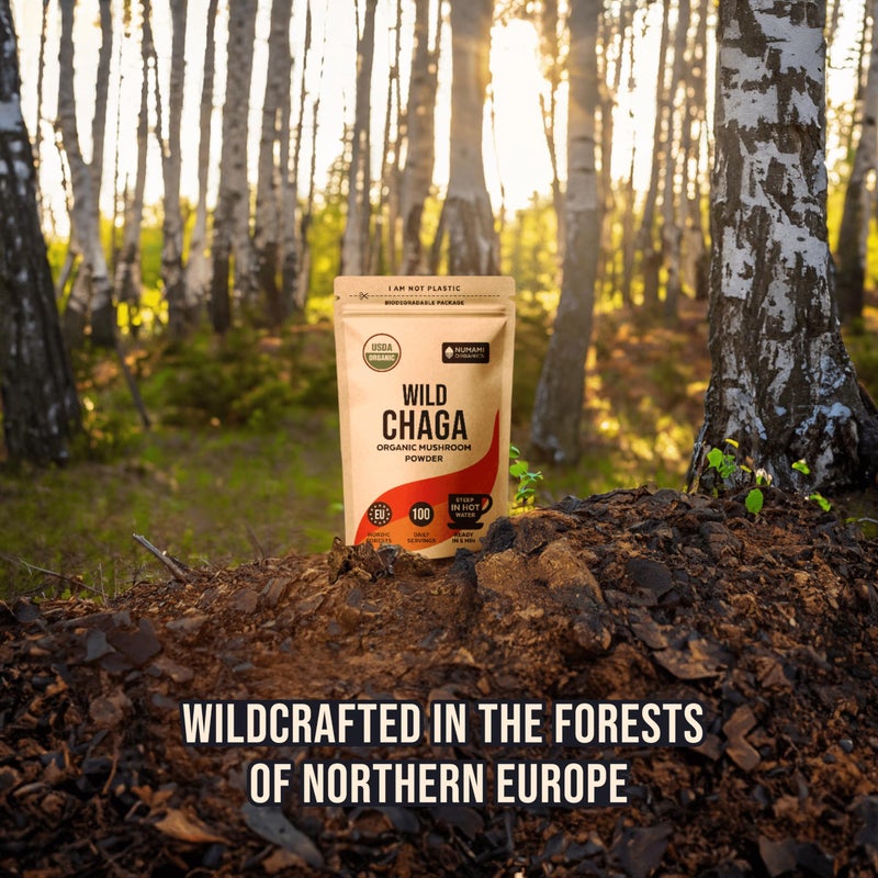 Numami Organic Chaga Mushrooms Powder - Fine Powder to Make Chaga Tea for Immune Defense and More Energy, Organic Chaga is Wild Grown and Sustainably Harvested in Europe, Certified USDA Organic, 100 servings - Image 5