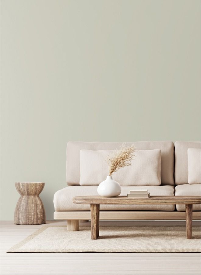 Jazeera Paints Matt Interior Wall Paint Color Aloe Vera 3 Liters - Image 1