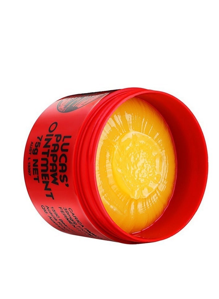 Lucas Papaw - Lip Moisturizing Ointment ,Lip Care Moisturizer papaya Shine 75 grams - Image 1