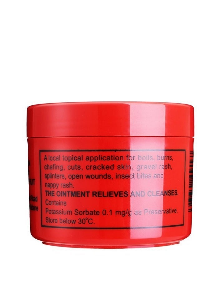 Lucas Papaw - Lip Moisturizing Ointment ,Lip Care Moisturizer papaya Shine 75 grams - Image 1