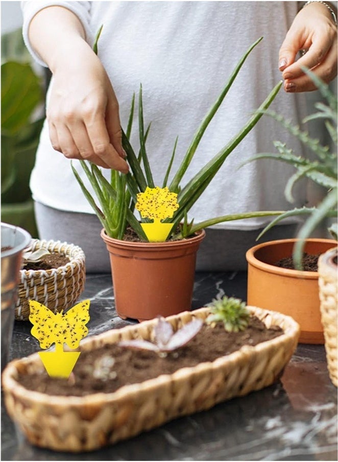 Arabest Flying Insect Glue StickerTrap, EcoFriendly Pest Control Solution, Indoor and Outdoor Plants Use Sticky Fly Paper Strips Effective Mosquito Gnats Fruit Fly Bug Catcher Safe Home Fly Trap Kit - Image 2