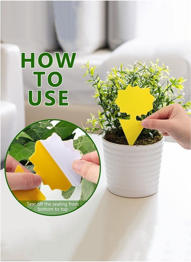 Arabest Flying Insect Glue StickerTrap, EcoFriendly Pest Control Solution, Indoor and Outdoor Plants Use Sticky Fly Paper Strips Effective Mosquito Gnats Fruit Fly Bug Catcher Safe Home Fly Trap Kit - Image 5
