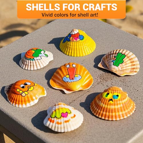 JR.WHITE Acrylic Paint Pens Paint Markers for Rock Painting, Canvas, Wood, Glass, Fabric, Metal, Plastic, Arts Crafts Easter Eggs, Pumpkin, Scrapbooking Supplies - Image 4
