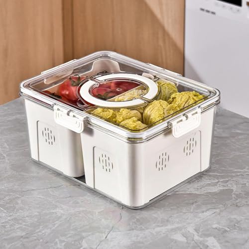 Vasukie Divided Fridge Storage Boxes With 4 Serving Veggie Tray with Lid and Handle, Fridge Organizer with Removable 4 Compartment, Fridge Storage Containers (2 Large Compartment-1PC) - Image 1