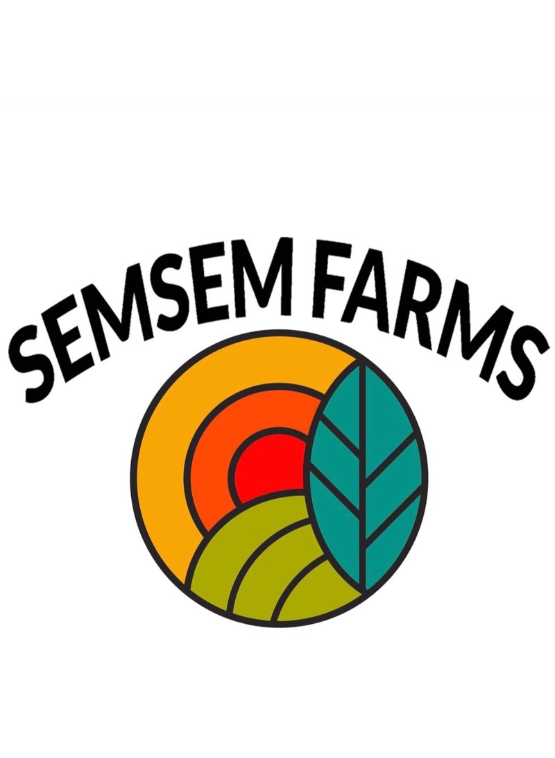 Semsem Farms Dried apple slices  - Image 4
