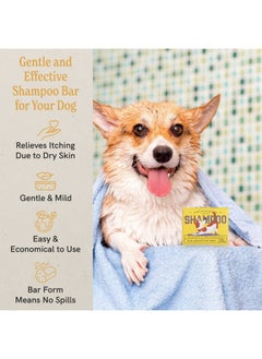 J·R·LIGGETT'S J·R·LIGGETT'S Dog Shampoo Bar for Sensitive Skin - Relieves Dry, Skin - Detergent-Free Formula, 100% Ecologically Correct, Non-GMO, 3.5 Ounce  - Image 3