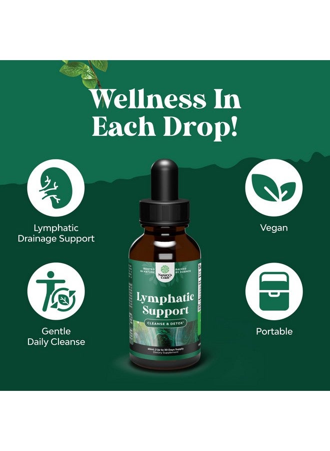 نايتشرز كرافت قطرات تصريف لمفاوي عضوية معتمدة - مكمل غذائي عشبي لتطهير الجهاز اللمفاوي ودعم المناعة مع مستخلص إشنسا جولدنسيل وبرسيم أحمر - نباتي، غير معدل وراثيًا، خالٍ من الكحول والسكر - 30 حصة - Image 4