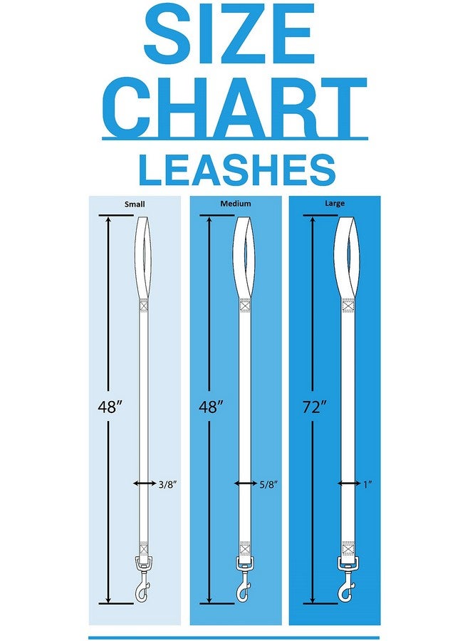 بتس فيرست مقود فيلادلفيا فلايرز من دوري الهوكي الوطني (NHL) من بيتس فيرست، للكلاب والقطط، كبير الحجم. - مشي أنيق وجذاب! المقود الأمثل لعشاق الهوكي! - Image 2