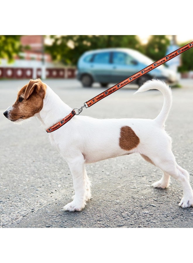 بتس فيرست مقود فيلادلفيا فلايرز من دوري الهوكي الوطني (NHL) من بيتس فيرست، للكلاب والقطط، كبير الحجم. - مشي أنيق وجذاب! المقود الأمثل لعشاق الهوكي! - Image 5