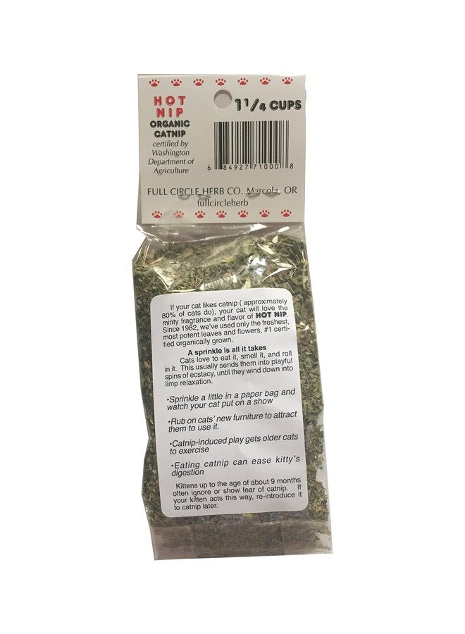 القطط الساخنة فول سيركل هيرب، نعناع بري عضوي ساخن معتمد للقطط، عبوة واحدة - Image 2