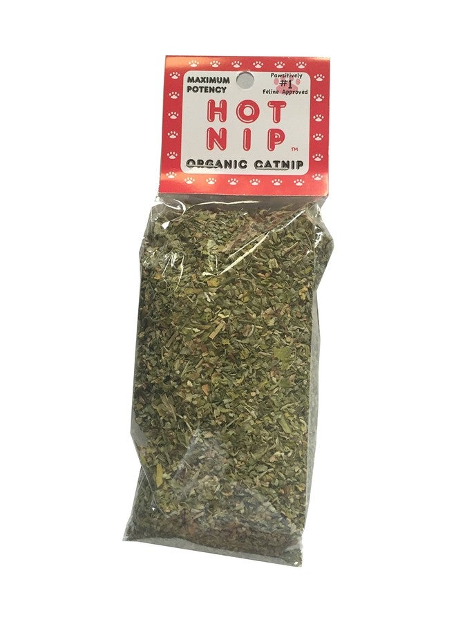 القطط الساخنة فول سيركل هيرب، نعناع بري عضوي ساخن معتمد للقطط، عبوة واحدة - Image 1