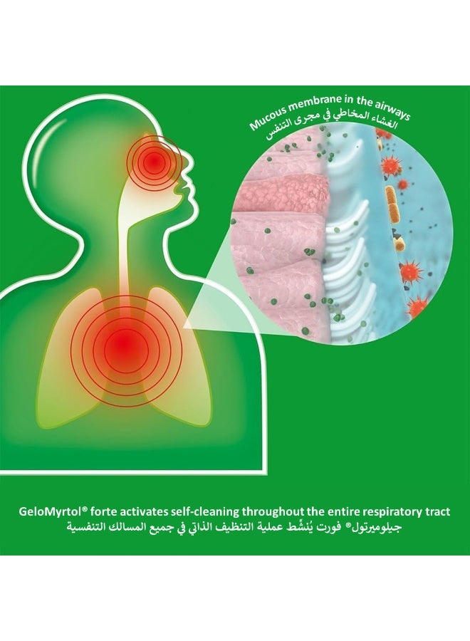 POHL BOSKAMP GeloMyrtol Forte Herbal Mucus Remover – 20 Capsules – Natural Relief for Cough, Chest Congestion, Runny Nose and Pressure Headache - Image 3