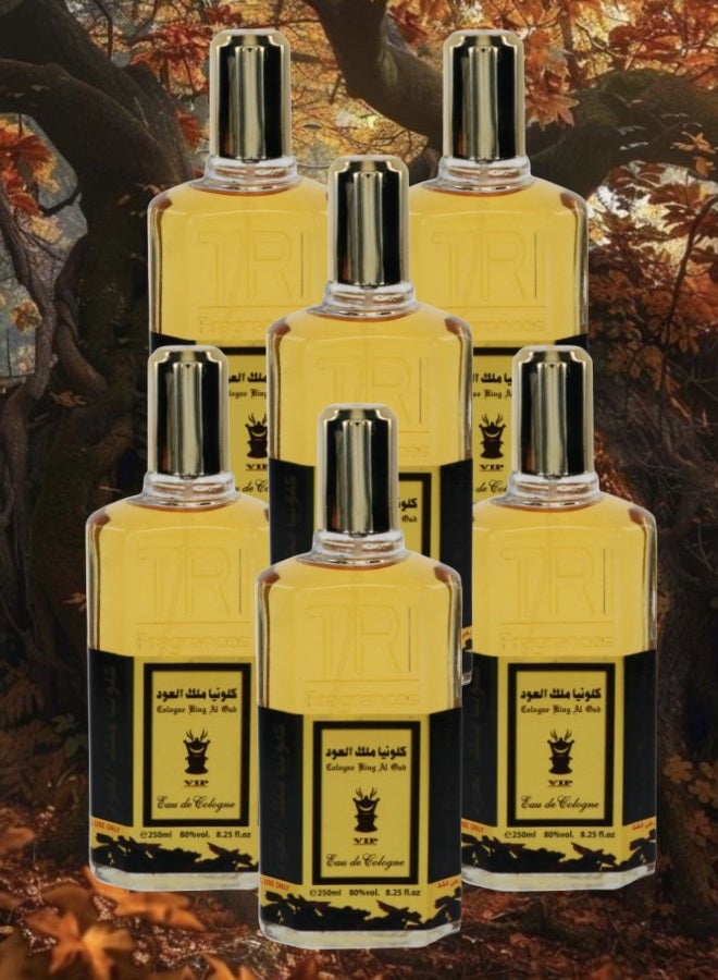 في آي بي 6 قطع كلونيا ملك العود 250مل - Image 1