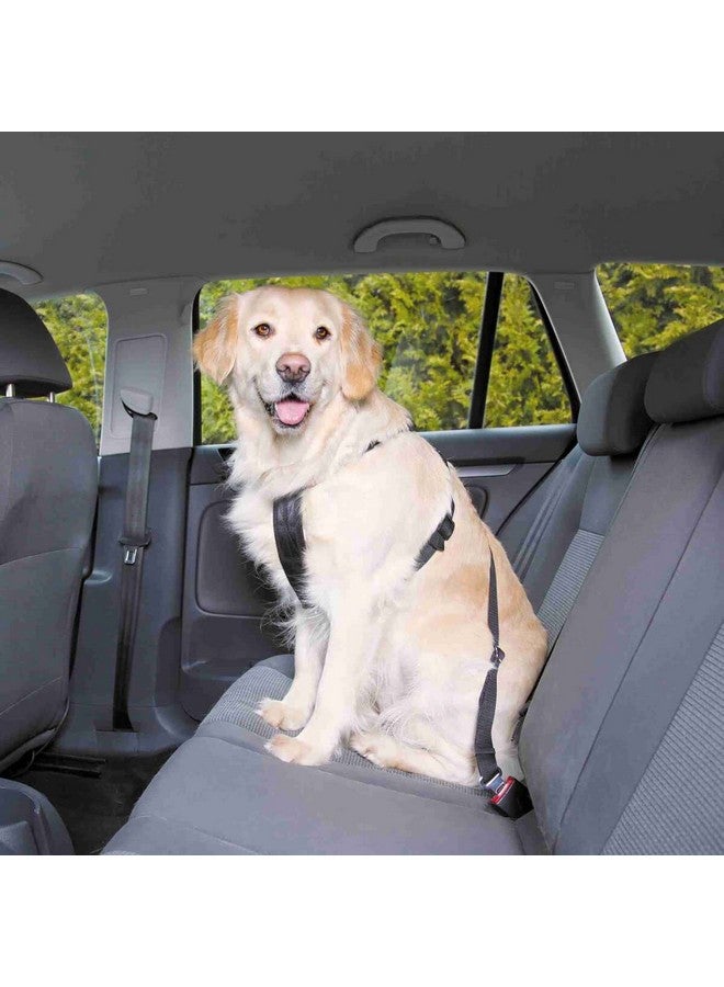 تريكسي حزام السيارة | يمنع الحيوان الأليف من التحرك داخل السيارة | حزام قابل للتعديل ليناسب الطول حسب راحتك | يمكن استخدامه أيضًا للمشي اليومي - أسود 70-90 سم/25 مم (L) - Image 1