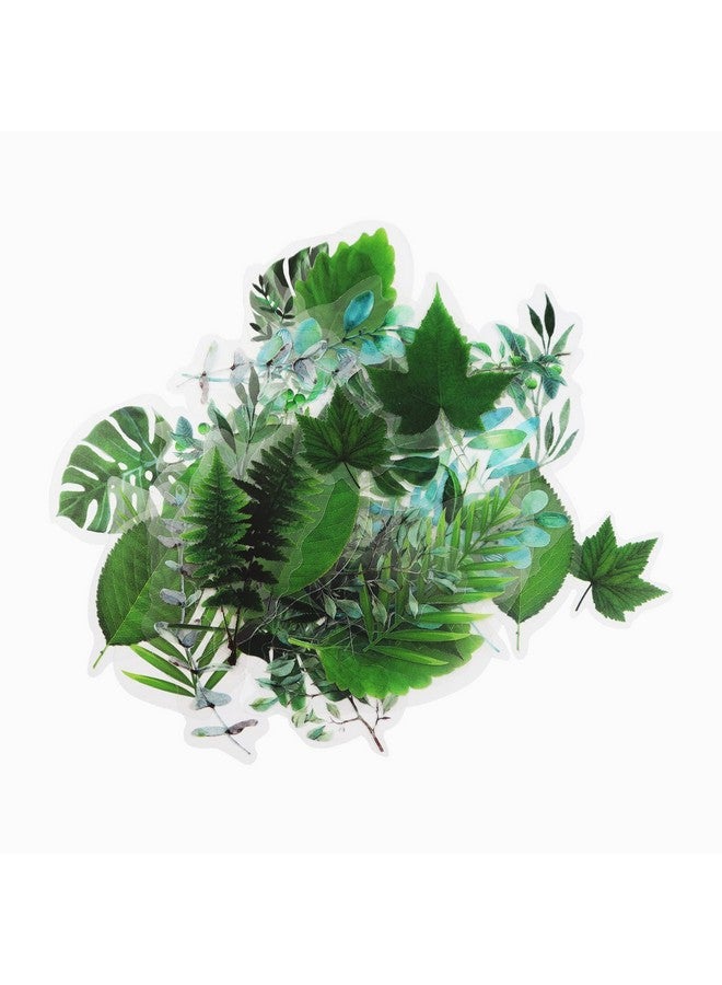 Modixun 160Pcs Flower Plant Stickers 20 Patterns Pet Transparent Decorative Stickers Flower Scrapbooking Stickers Floral Washi Stickers For Craft Album Journal Style C  - Image 1