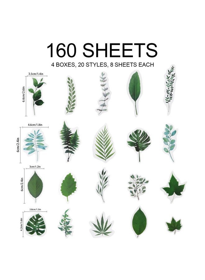 Modixun 160Pcs Flower Plant Stickers 20 Patterns Pet Transparent Decorative Stickers Flower Scrapbooking Stickers Floral Washi Stickers For Craft Album Journal Style C  - Image 2