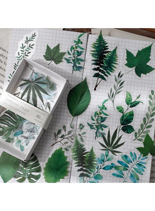 Modixun 160Pcs Flower Plant Stickers 20 Patterns Pet Transparent Decorative Stickers Flower Scrapbooking Stickers Floral Washi Stickers For Craft Album Journal Style C  - Image 3