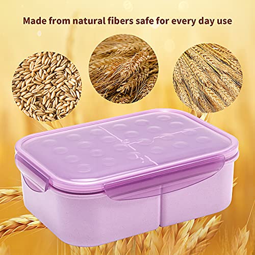 MISS BIG® Bento Box,Bento Box Adult,Lunch Box,Leak Proof Lunch Containers,No BPAs and No Chemical Dyes Bento Lunch Box,Dishwasher and Microwave Safe Lunch Containers for Adults(1900ml Purple) - Image 3