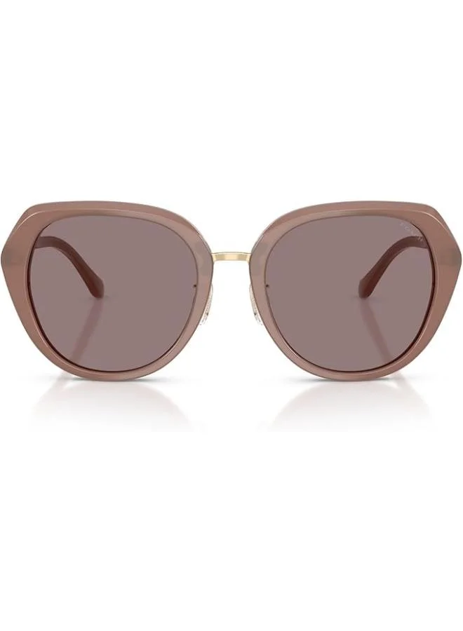 Irregular Sunglasses