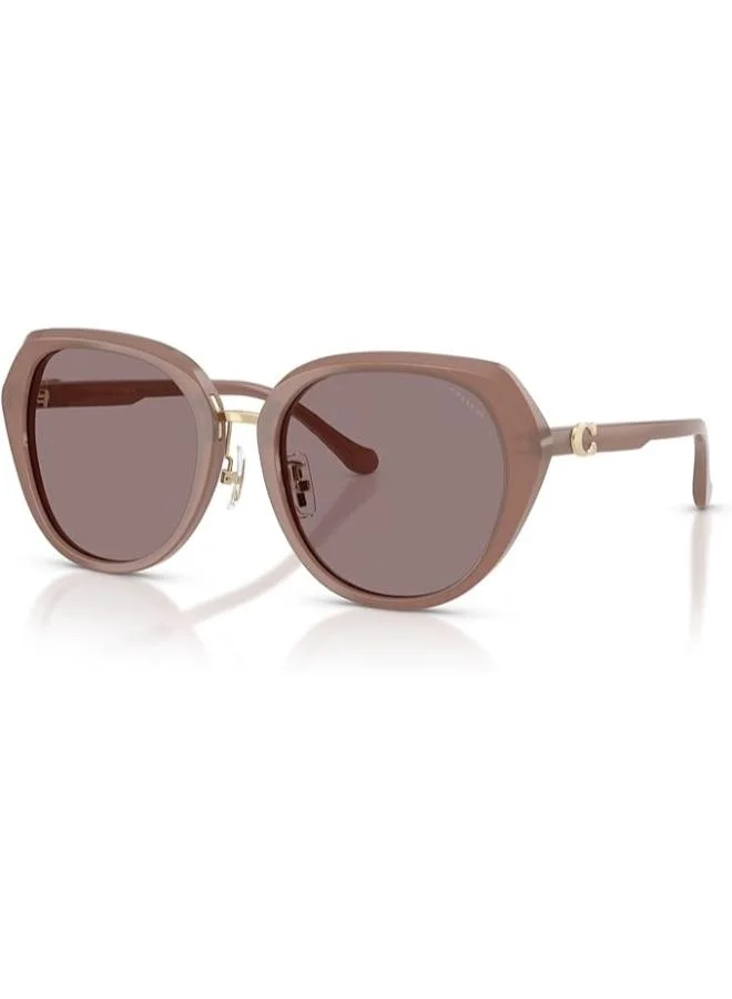 COACH Irregular Sunglasses