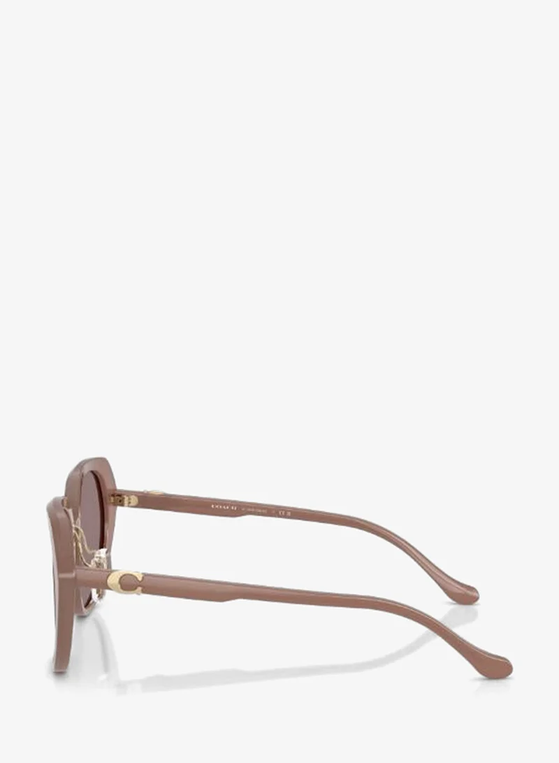Coach  Irregular Sunglasses for Women | Best Price UAE