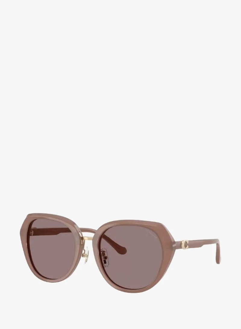Coach  Irregular Sunglasses for Women | Best Price UAE